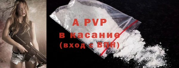 твердый Бородино