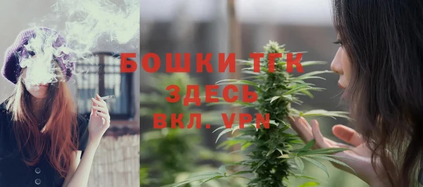 твердый Бородино
