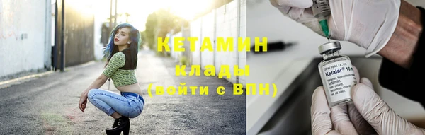 твердый Бородино
