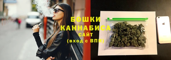 твердый Бородино