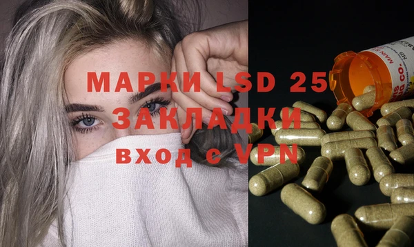 твердый Бородино