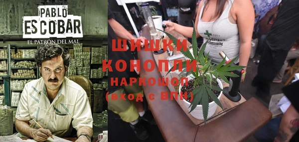 spice Бугульма