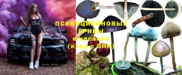прущий лед Бронницы