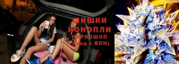 твердый Бородино