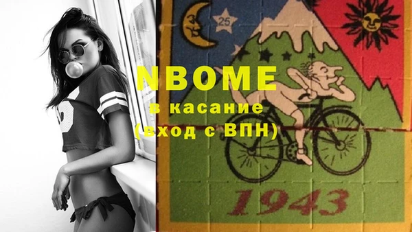 твердый Бородино