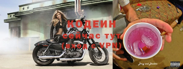 твердый Бородино