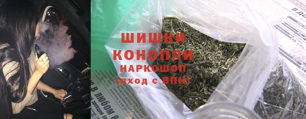 твердый Бородино