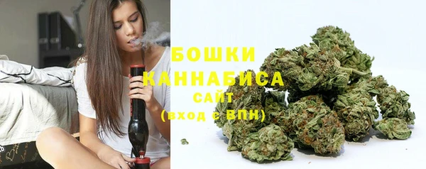 твердый Бородино
