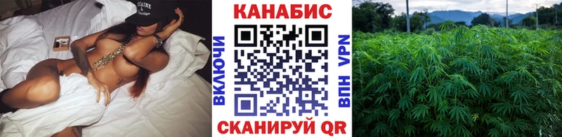 Конопля OG Kush наркотики Раменское